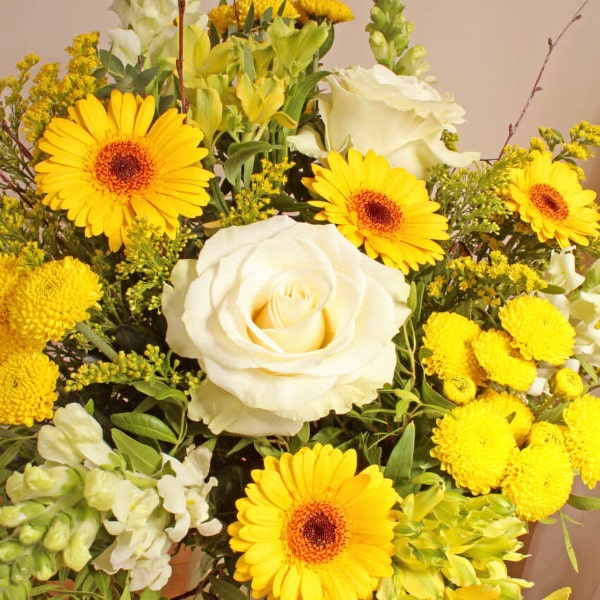 Lemon Sizzles detail Lemon Sizzles detail