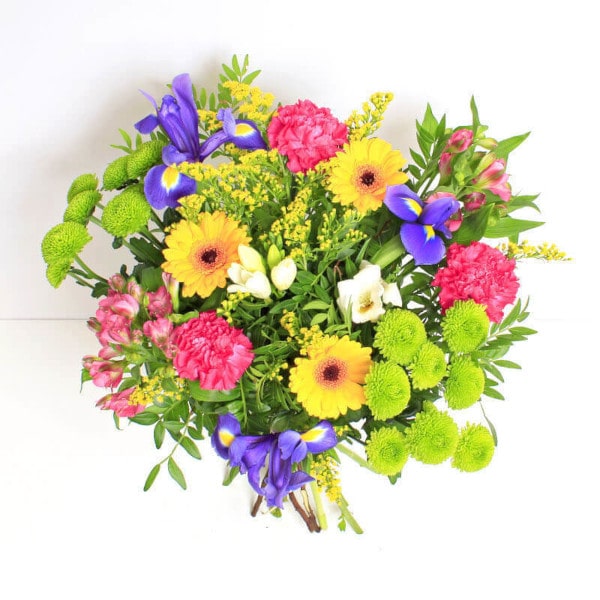 Mayflower above view Mayflower above view