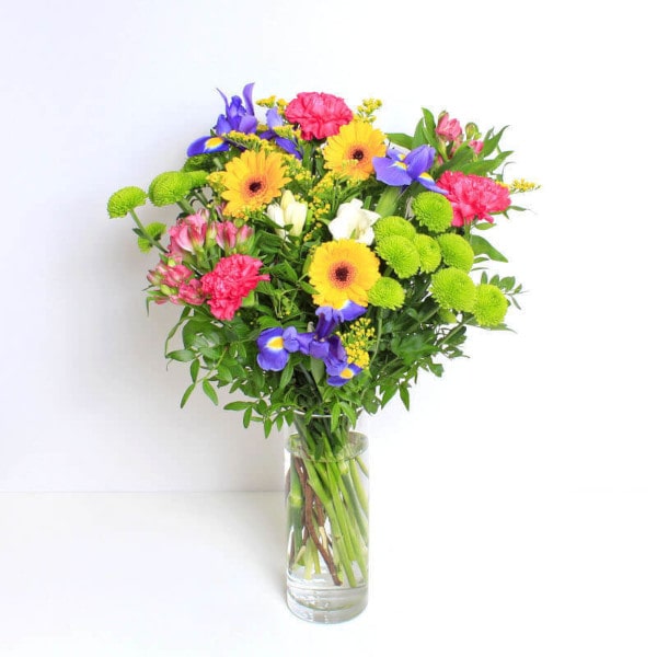 Mayflower base Mayflower base