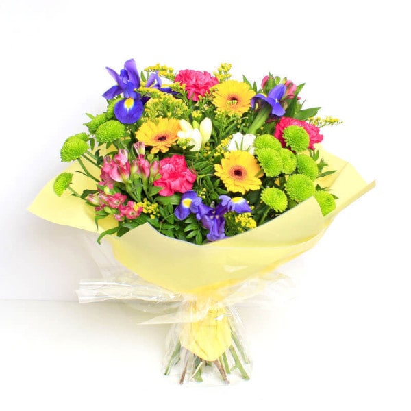 Mayflower wrap Mayflower wrap