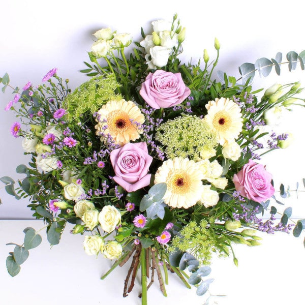 Perle above view Perle above view