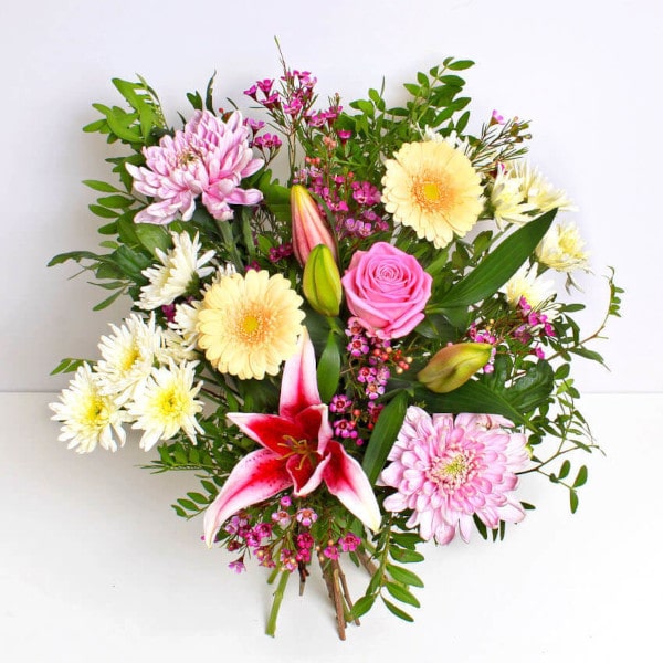 Remy top view Remy top view