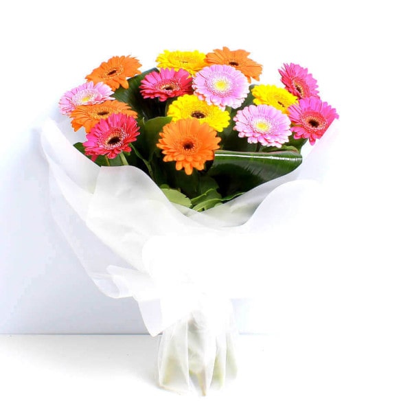 Vibrant Germinis wrap Vibrant Germinis wrap