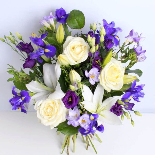 Violet Vibes top view Violet Vibes top view