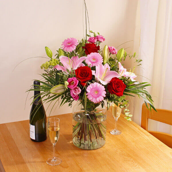 wild about you2 wild about you2