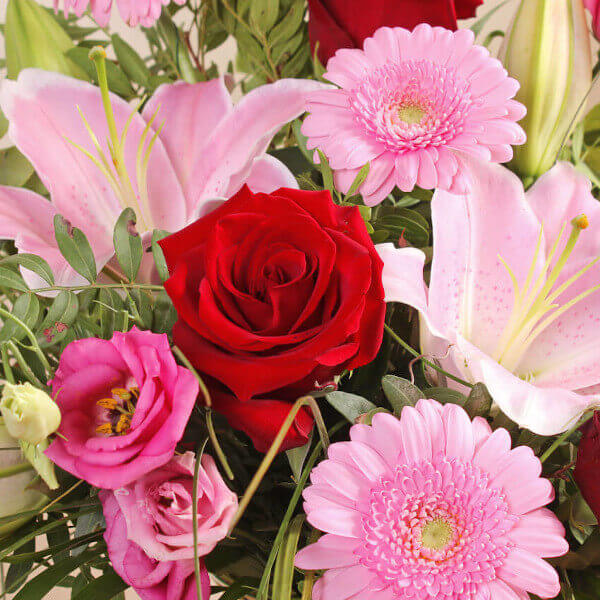 wild about you4 wild about you4